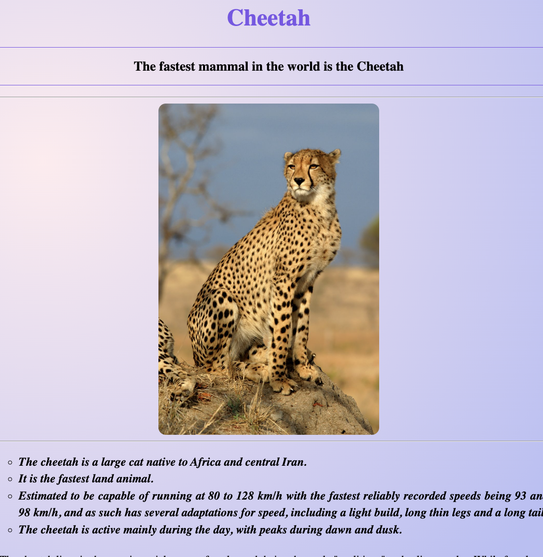 Cheetah project preview